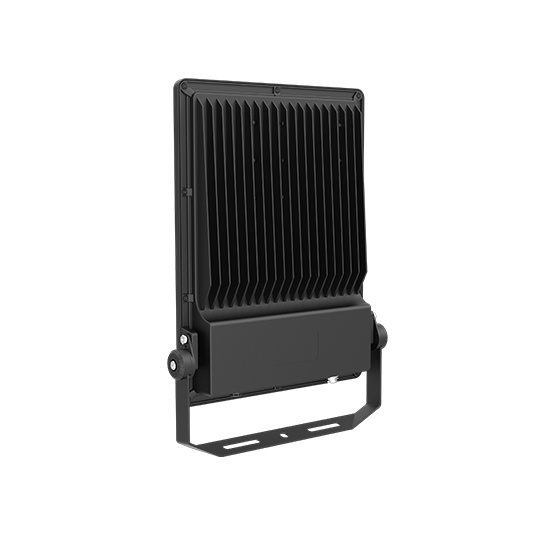 RE Series Flood Light